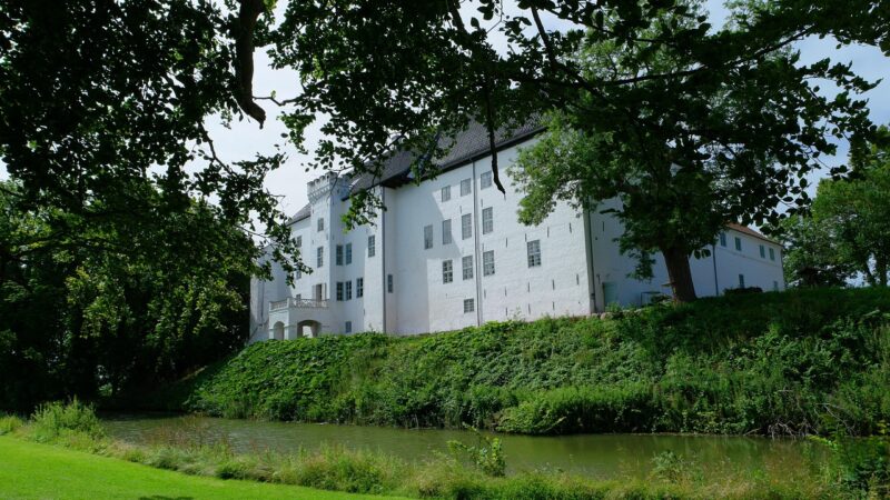 Oplev det Bæredygtige Hestefoder Sjælland: En Rejse imod Sundhed og Miljøbevidsthed